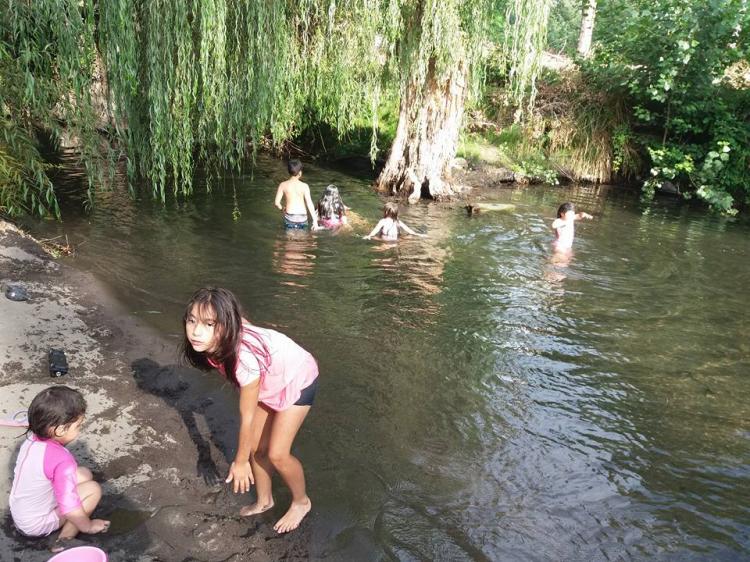 Fotografía 2 de Camping San José de Coreo en Los Angeles, Bio Bio