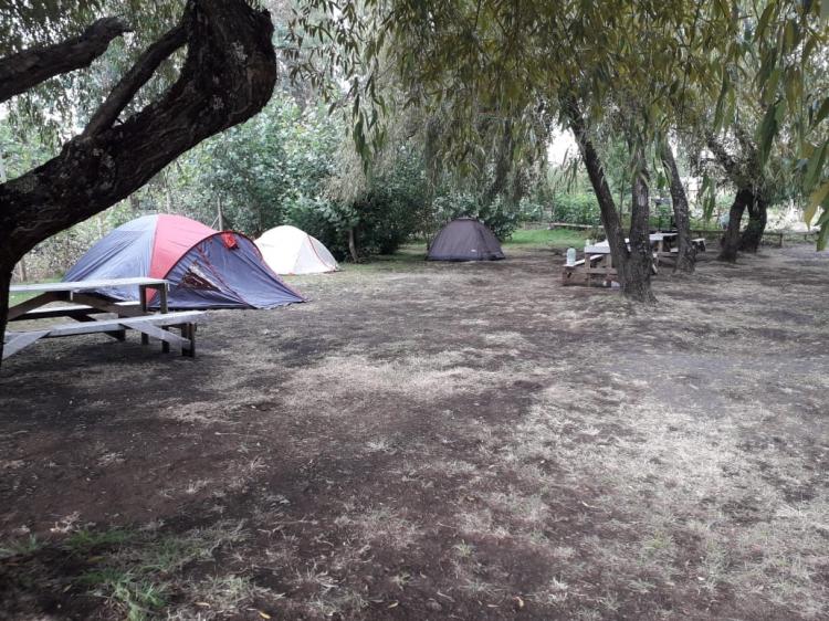 Fotografía 5 de Camping San José de Coreo en Los Angeles, Bio Bio