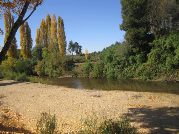 Fotografía 2 de Camping Las Corrientes en Santa Juana, Bio Bio