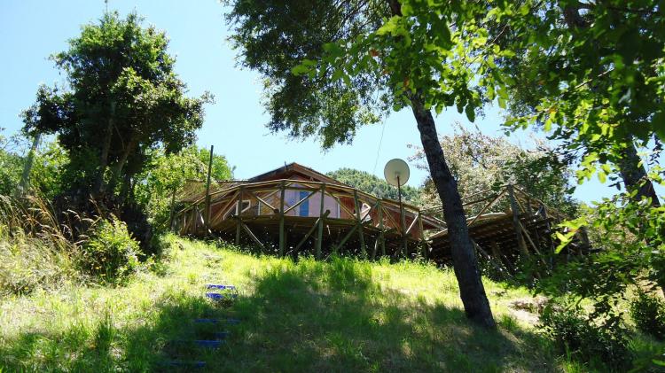 Fotografía 6 de Refugio Angostura del Bío Bío en Santa Barbara, Bio Bio