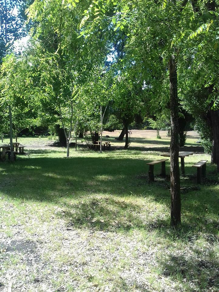 Fotografía 4 de Agro Camping Aguas Verdes en Yumbel, Bio Bio