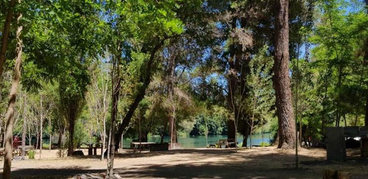 Fotografía 8 de Agro Camping Aguas Verdes en Yumbel, Bio Bio