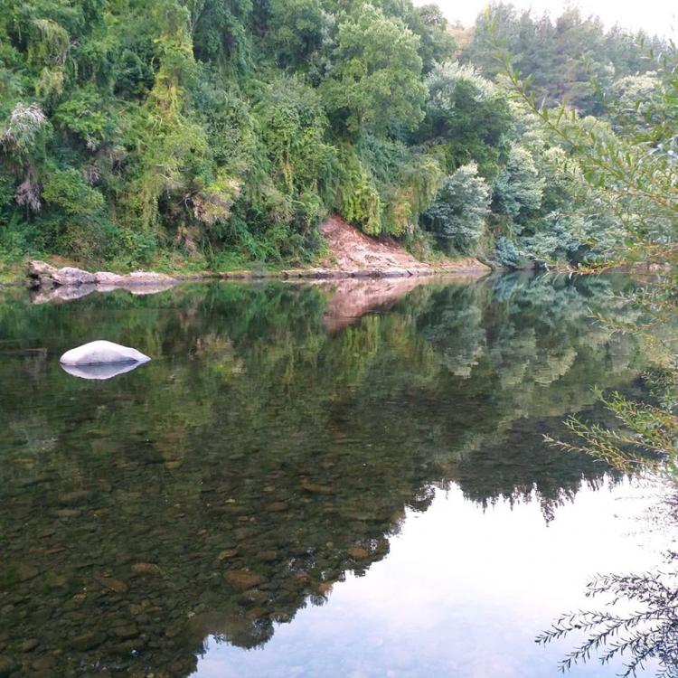 Fotografía 5 de Camping Quilquihuenco en Mulchen, Bio Bio