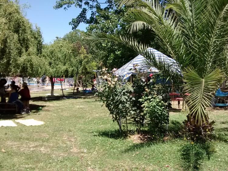 Fotografía 8 de Camping Las Torcacitas en Yerbas Buenas, Maule