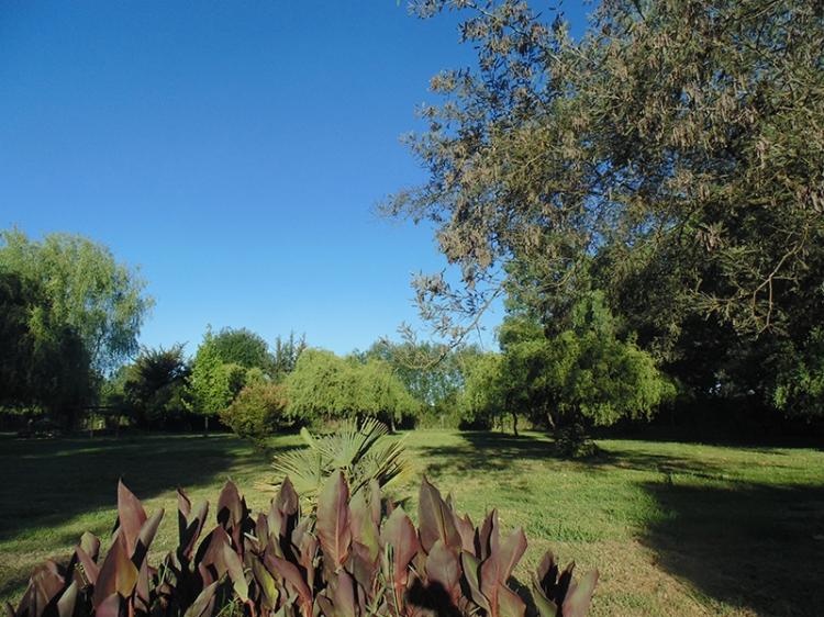 Fotografía 9 de Camping Las Torcacitas en Yerbas Buenas, Maule