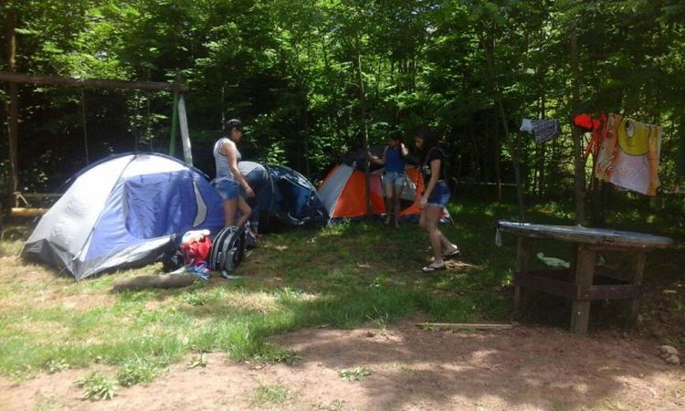 Fotografía 11 de Camping Entre Aguas en Longavi, Maule