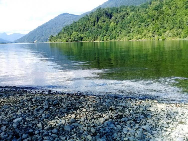 Fotografía 6 de Camping Paraiso Lago Neltume en Panguipulli, Los Rios