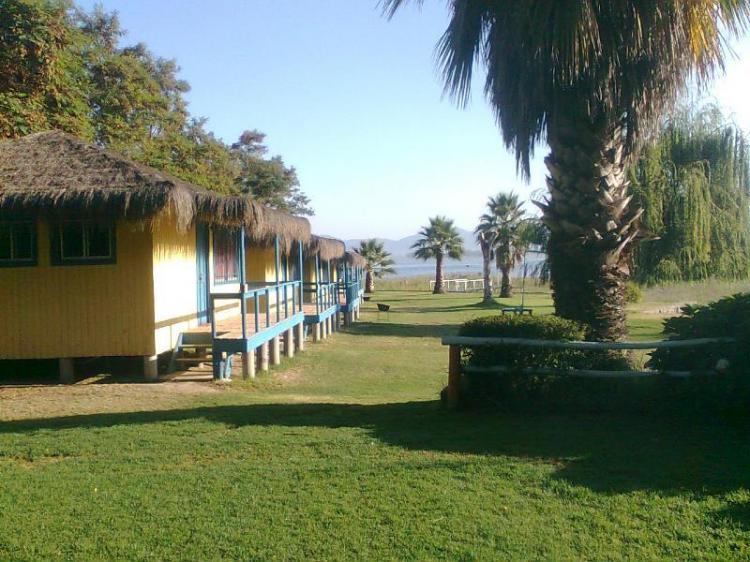 Fotografía 9 de Camping Naviocar en Las Cabras, Ohiggins