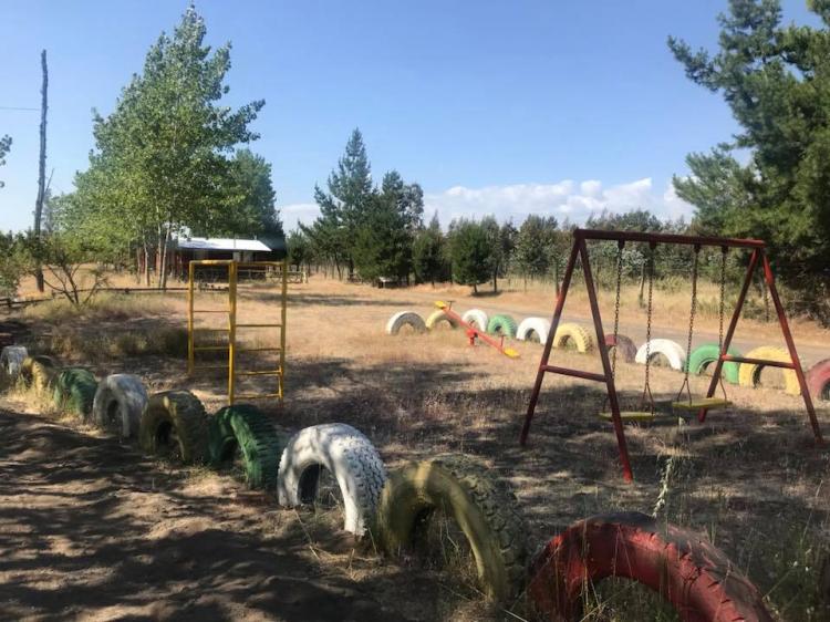 Fotografía 3 de Camping y Cabañas El Campeón en Los Angeles, Bio Bio