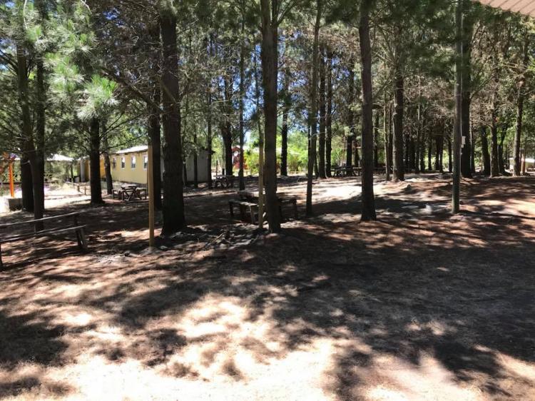 Fotografía 7 de Camping y Cabañas El Campeón en Los Angeles, Bio Bio
