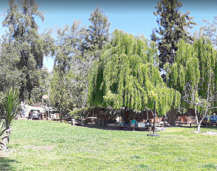 Fotografía 2 de Camping El Semental en Pirque, Metropolitana
