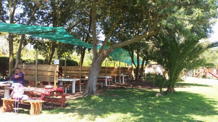 Fotografía 3 de Camping Bustamante en Concon, Valparaiso
