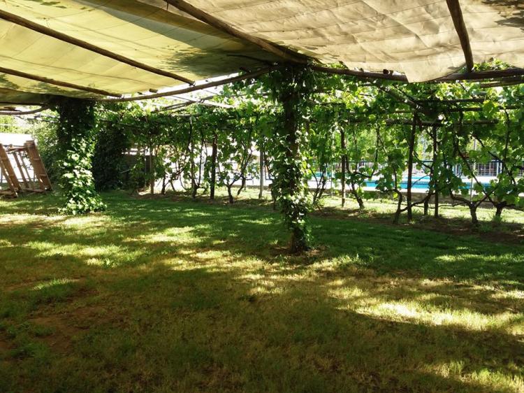 Fotografía 11 de Donde La Maty en Pirque, Metropolitana