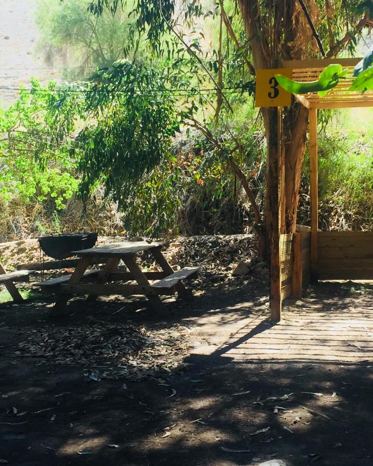 Fotografía 11 de Camping Doña Florentina en Alto Del Carmen, Atacama