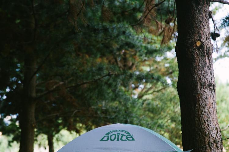 Fotografía 9 de Camping Ammonites Coyhaique en Coyhaique, Aysen