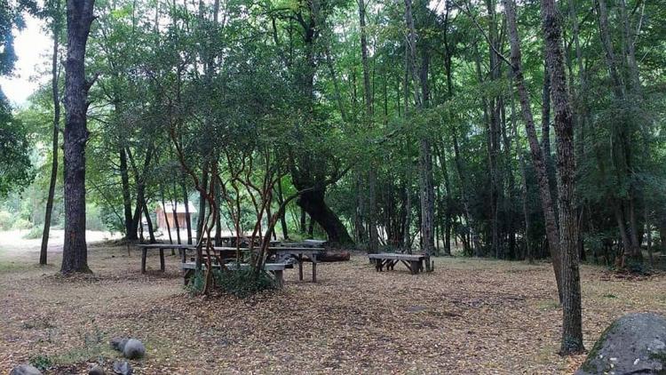 Fotografía 2 de Camping Nido de Condor en Yungay, Bio Bio
