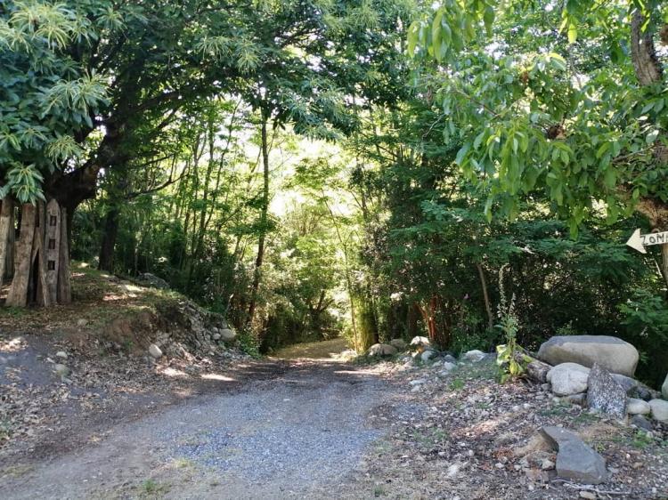 Fotografía 15 de Camping Nido de Condor en Yungay, Bio Bio