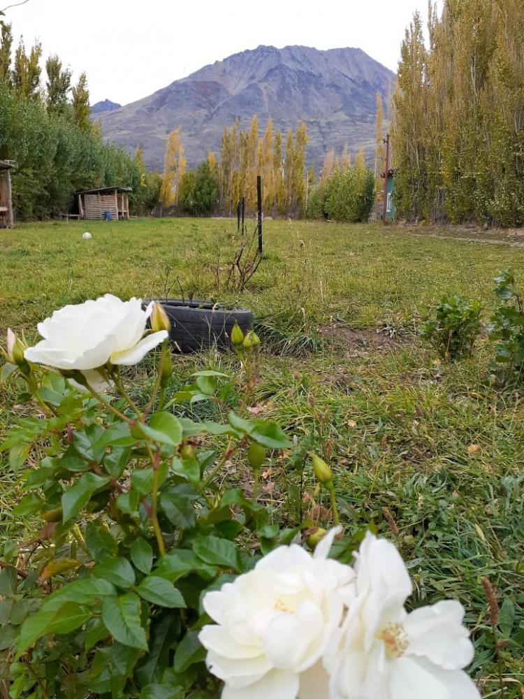 Fotografía 15 de Camping Onde Paulino en Coyhaique, Aysen