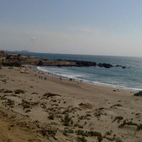 Fotografía 14 de Camping Tres Playitas en Huasco, Atacama