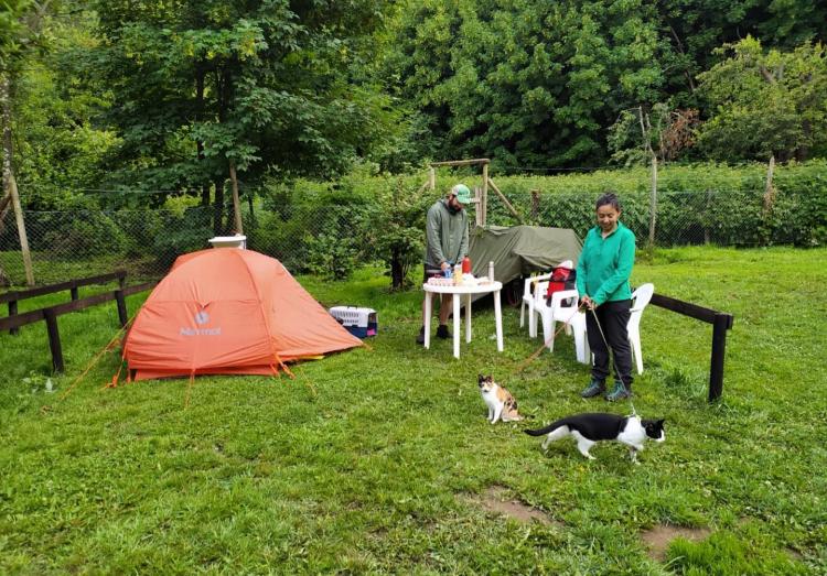 Fotografía 10 de El Camping Coyhaique en Coyhaique, Aysen