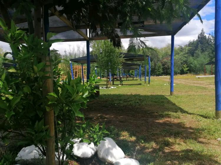 Fotografía 10 de Centro turístico y camping Los Aromos de Achibueno en Linares, Maule
