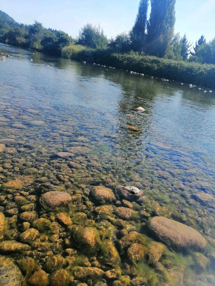 Fotografía 12 de Centro turístico y camping Los Aromos de Achibueno en Linares, Maule