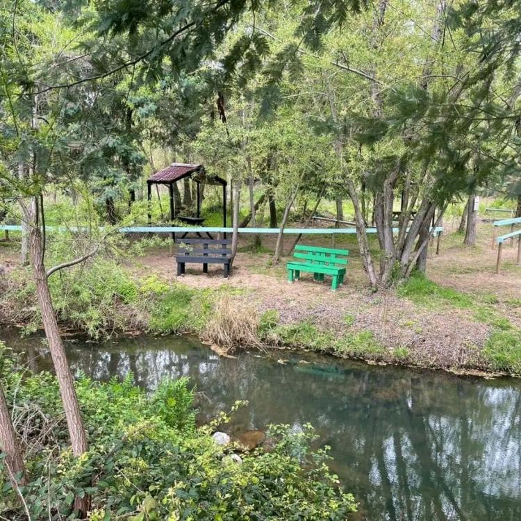 Fotografía 13 de Centro turístico y camping Los Aromos de Achibueno en Linares, Maule