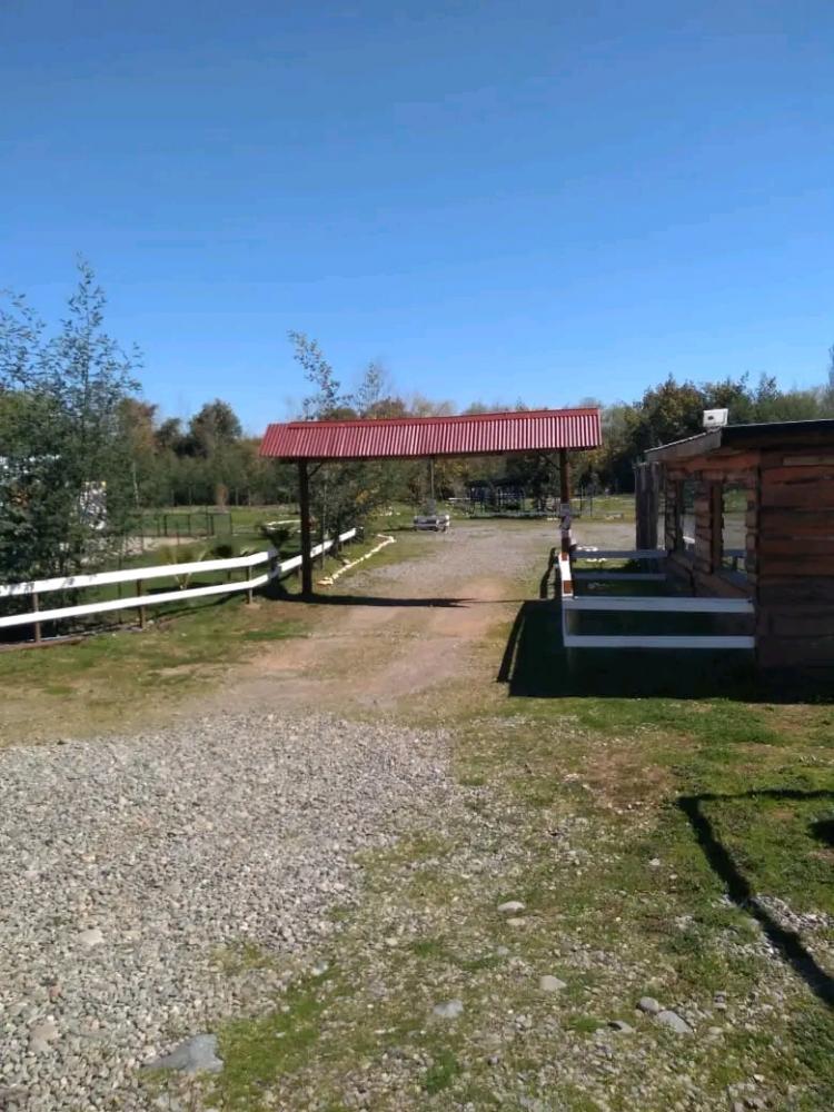 Fotografía 16 de Centro turístico y camping Los Aromos de Achibueno en Linares, Maule