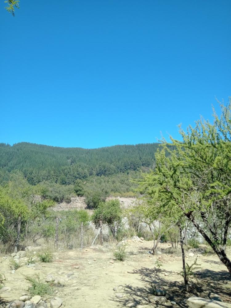 Fotografía 11 de Camping Achibueno Pejerrey en Linares, Maule