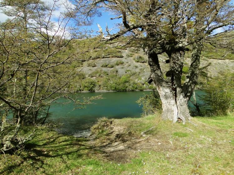 Fotografía 10 de Camping Río Serrano, Torres Del Paine - Caja Los Andes en Punta Arenas, Magallanes