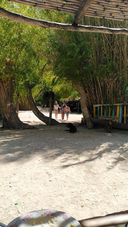 Fotografía 8 de Camping El Dorado en Paihuano, Coquimbo
