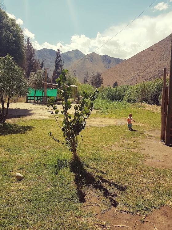Fotografía 13 de Camping El Dorado en Paihuano, Coquimbo