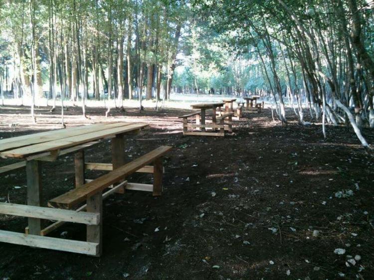 Fotografía 5 de Camping El Mirador Yungay en Yungay, Bio Bio
