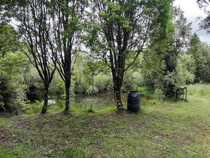 Fotografía 14 de Camping Buena Paz en Molina, Maule