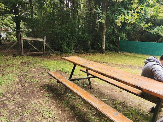 Fotografía 4 de Camping Coñaripe Entre Coihues en Panguipulli, Los Rios