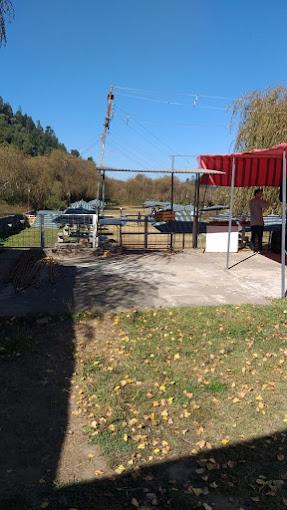 Fotografía 4 de Las Palmeras Camping Piscina Y Cocineria en Hualqui, Bio Bio