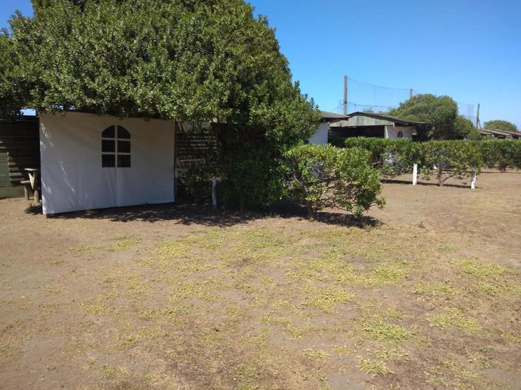 Fotografía 13 de Camping En Rancura en Licanten, Maule