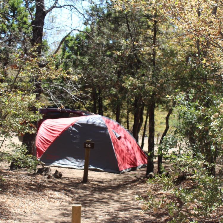 Fotografía 5 de Camping Rocas Basálticas - Conaf en Rio Claro, Maule