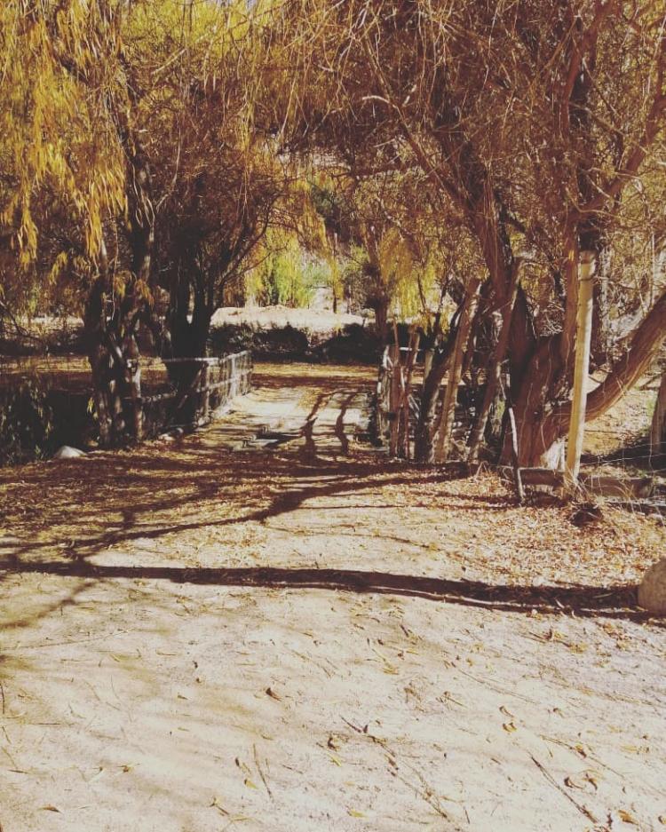 Fotografía 8 de Camping Remanso de Los Ponce en Paihuano, Coquimbo