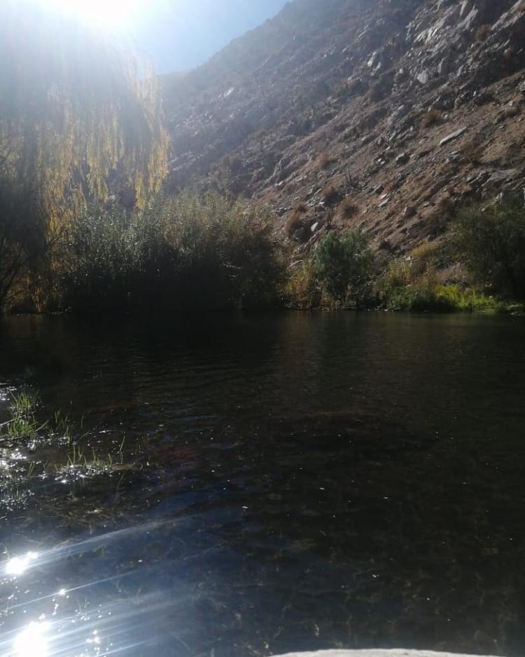 Fotografía 9 de Camping Remanso de Los Ponce en Paihuano, Coquimbo