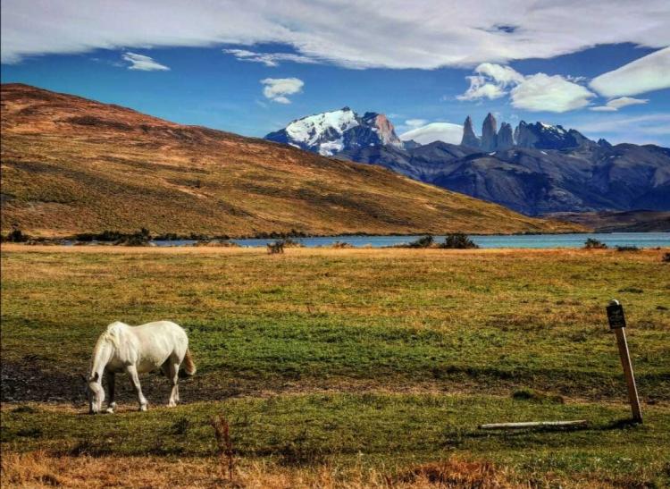 Fotografía 9 de Camping Laguna Azul en Punta Arenas, Magallanes