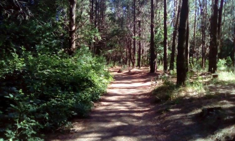 Fotografía 9 de Camping La Cascada en Quillon, Bio Bio