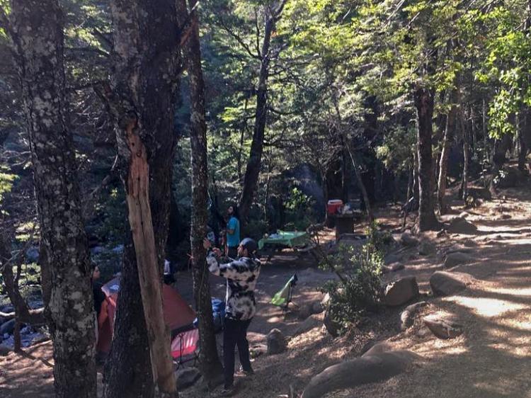 Fotografía 8 de Camping Radal Siete Tazas en Rio Claro, Maule