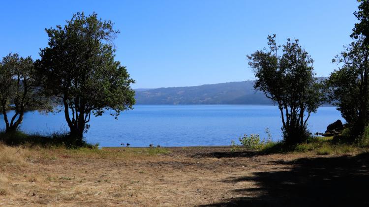 Fotografía 8 de Camping Y Hotel Lorcura en Tirua, Bio Bio