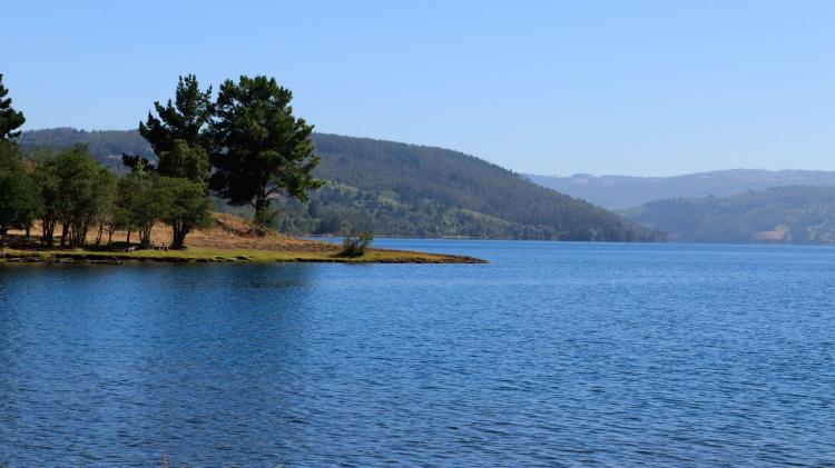 Fotografía 10 de Camping Y Hotel Lorcura en Tirua, Bio Bio