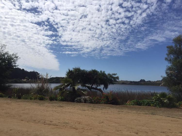 Fotografía 7 de Camping Laguna Del Perro - Camino a Cáhuil en Pichilemu, Ohiggins