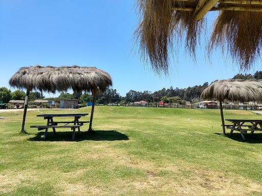Fotografía 4 de Camping Los Coirones Del Estero en Concon, Valparaiso