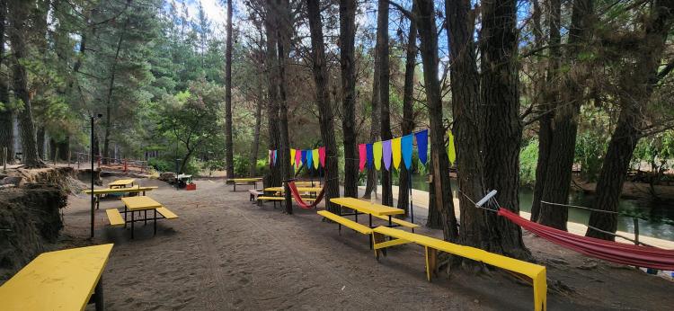 Fotografía 9 de Camping Los Nietos en Yungay, Bio Bio