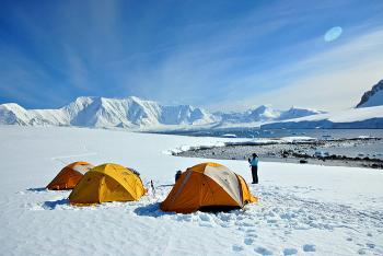 Camping Antartic Dream en Antartica, Magallanes