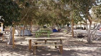 Camping Y Restaurante El Guayito en Pica, Tarapaca